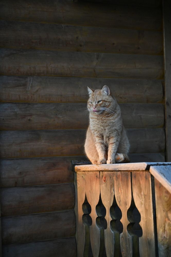 Photograph by Ленария Асянова