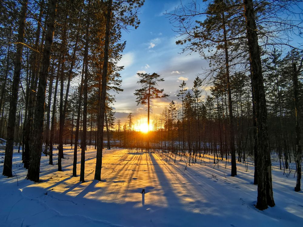 Photograph by Юлия Шарова