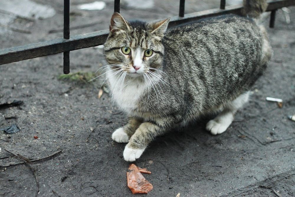 Photograph by Ольга Щербакова