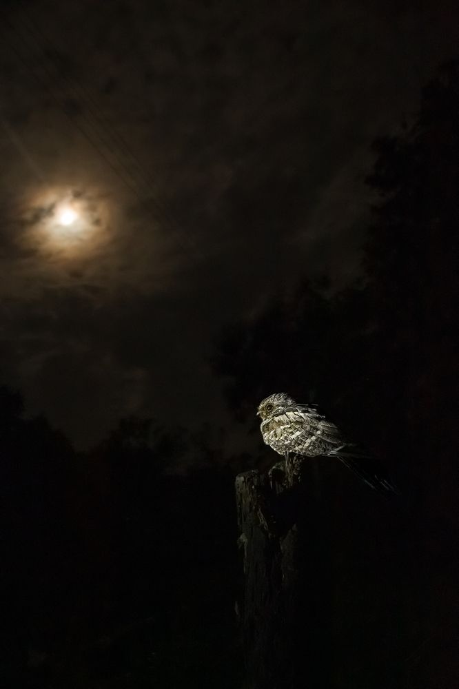 Photograph by AGNISWAR GHOSAL