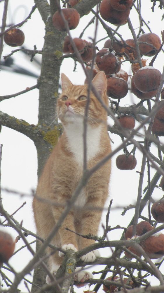 Photograph by Ильяс Альмухаметов