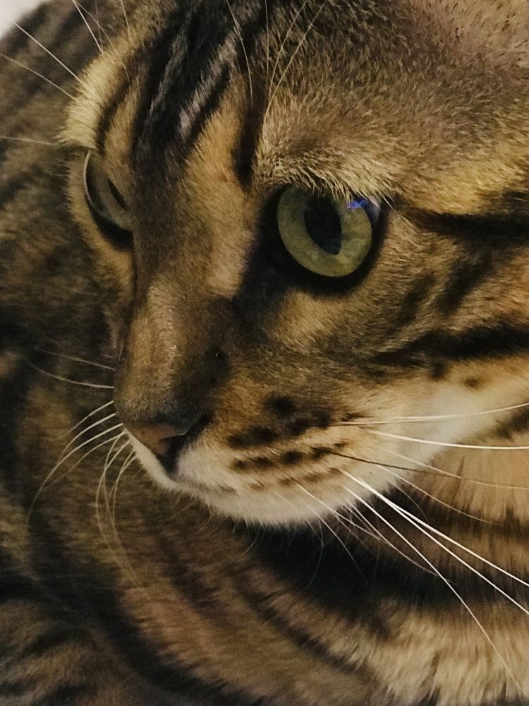 Photograph by Ирина Коваль