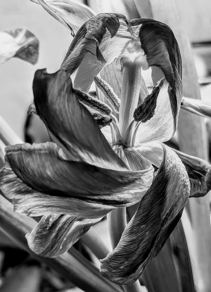 Photograph by Надежда Кудрявцева