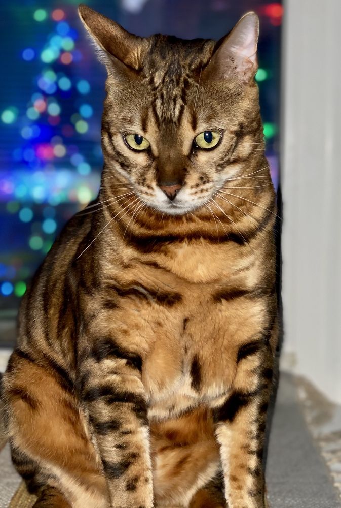 Photograph by Ирина Коваль