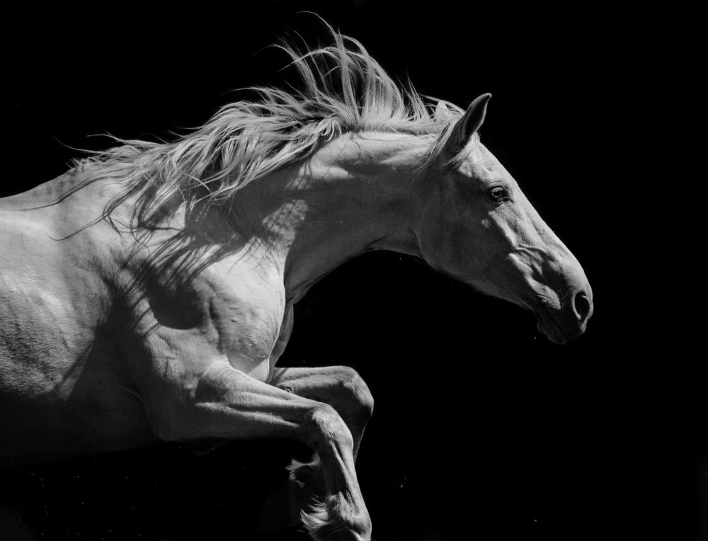 Photograph by Кристина Ксендзова