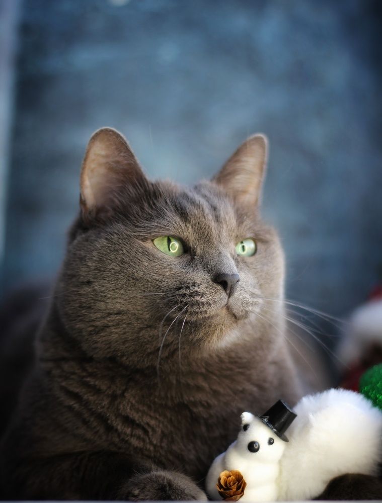 Photograph by Мария Мельникова