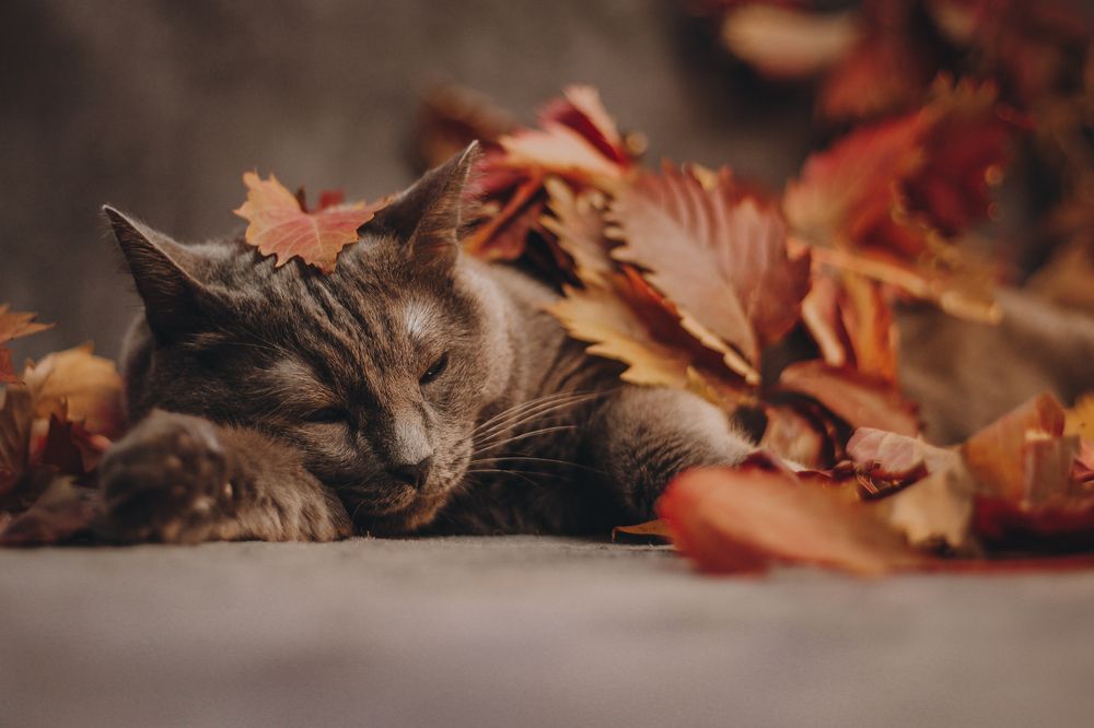 Photograph by Мария Мельникова