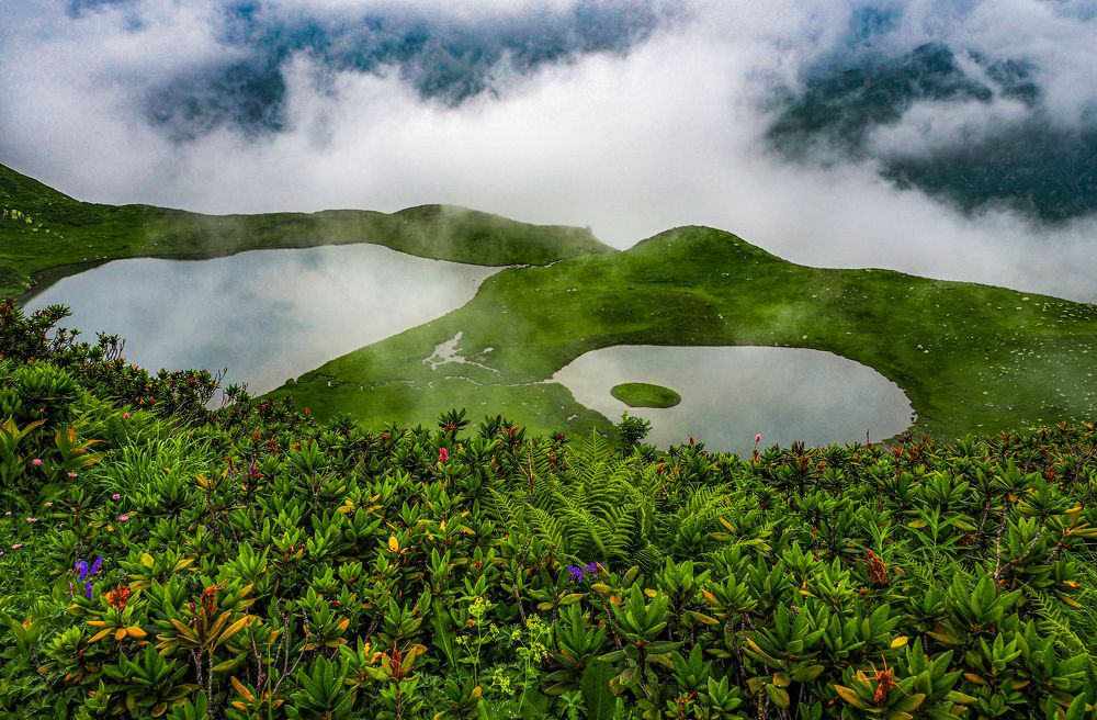 Photograph by Елена Зинцова