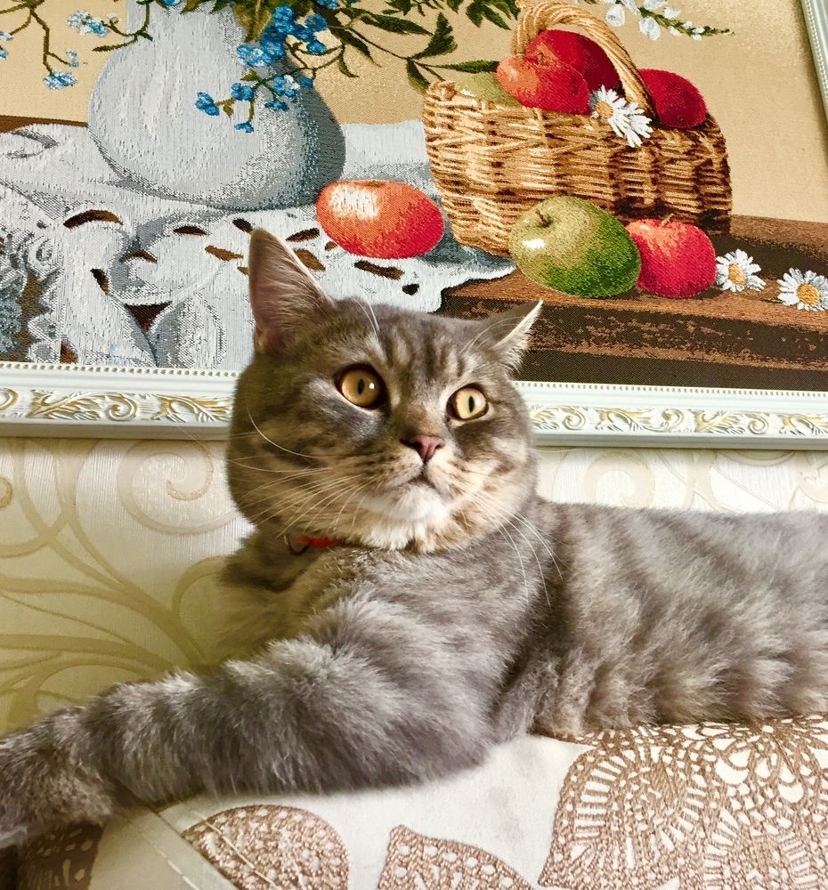 Хранитель покоев