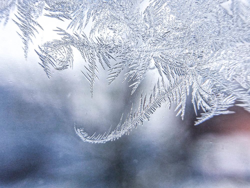 Фотография автора Оля Алехнович