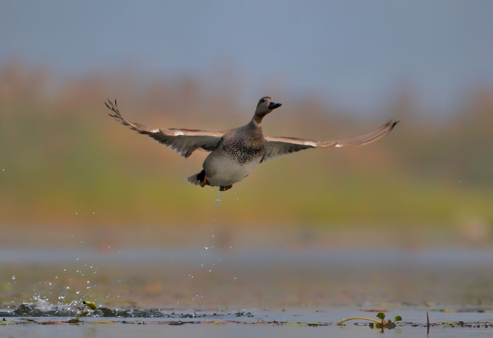 Photograph by Sagar Mondal