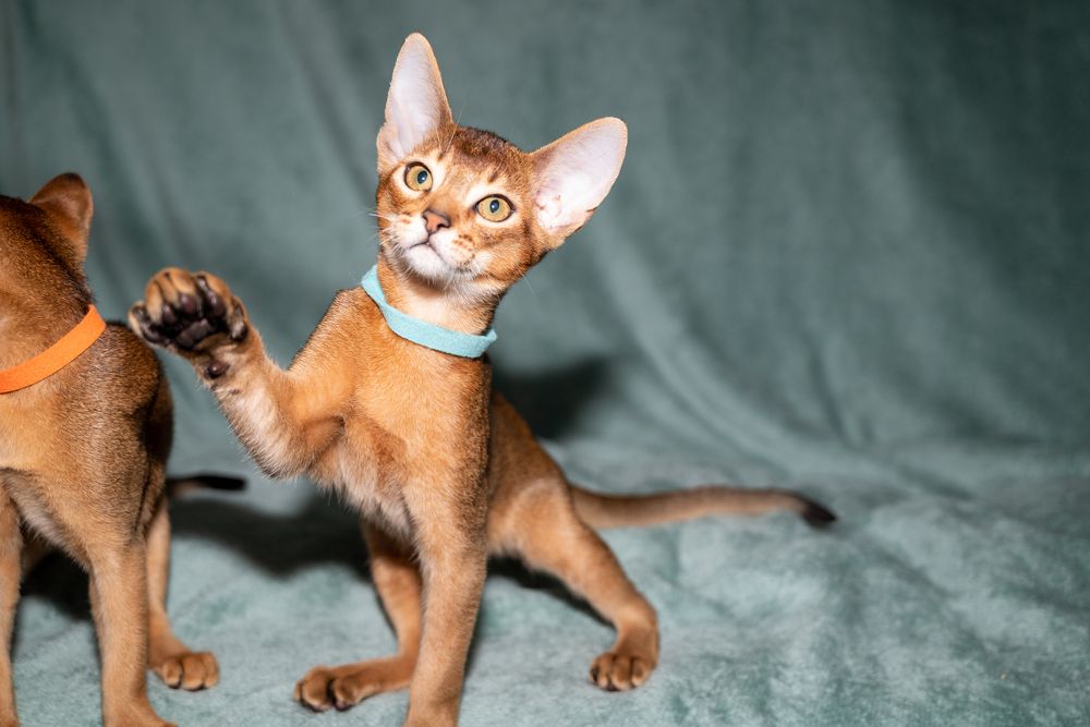 Photograph by Игорь