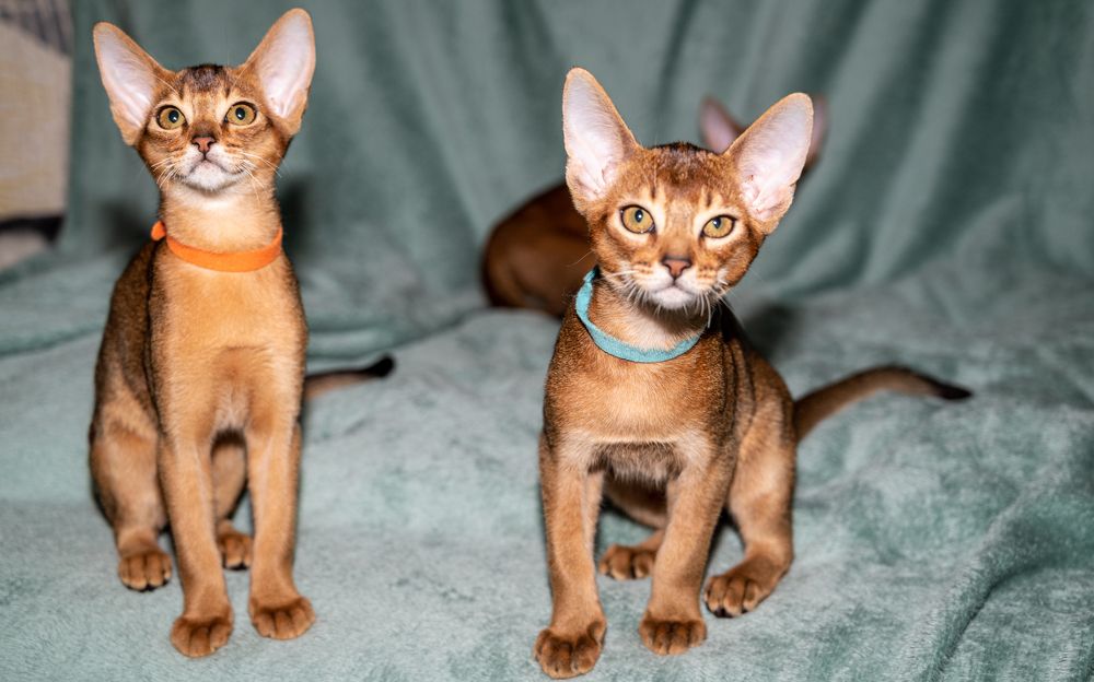 Photograph by Игорь