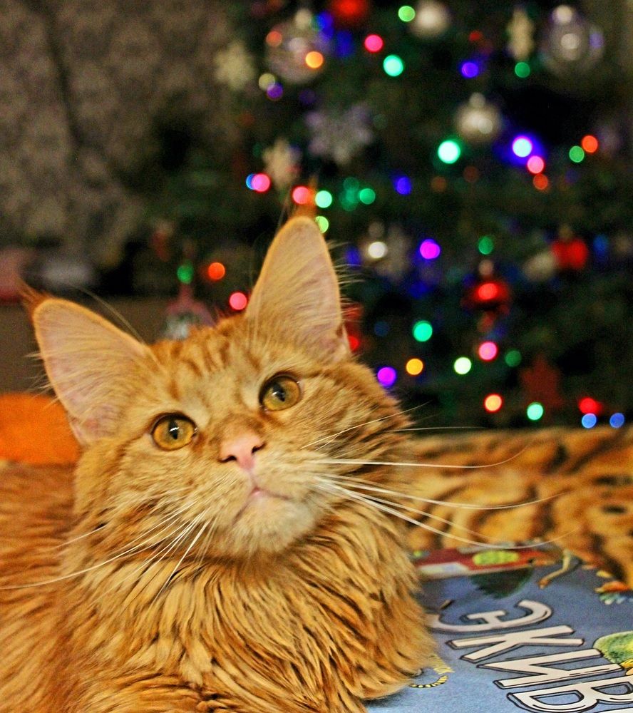 Photograph by Александра Куликова