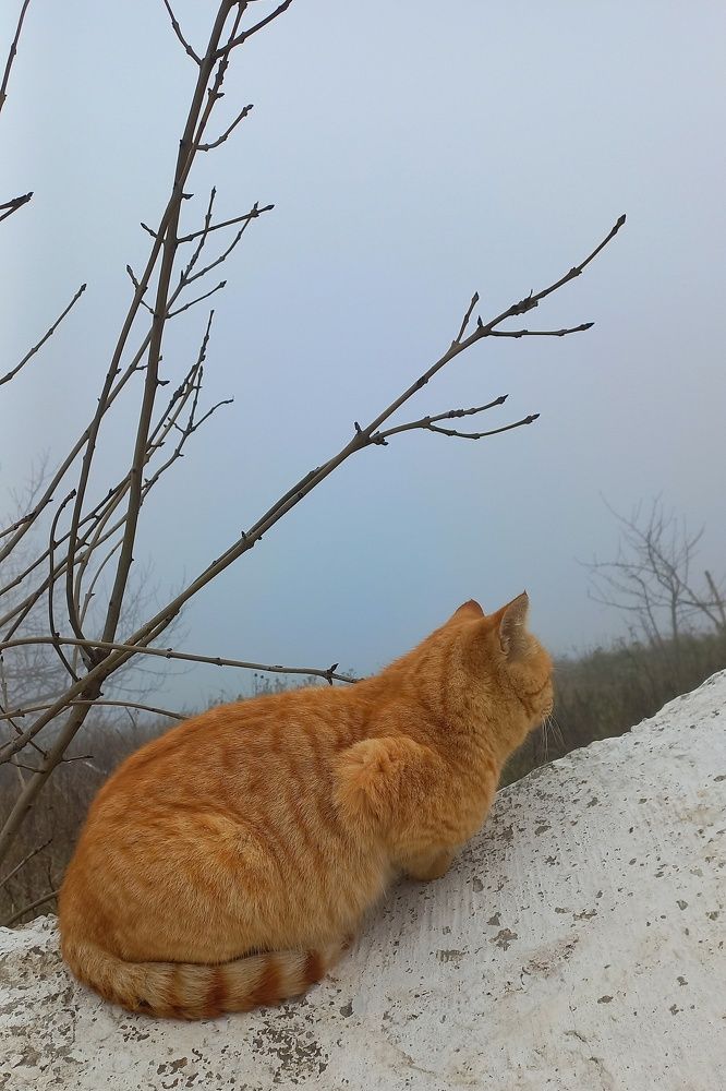 Photograph by Katerina Akalifa