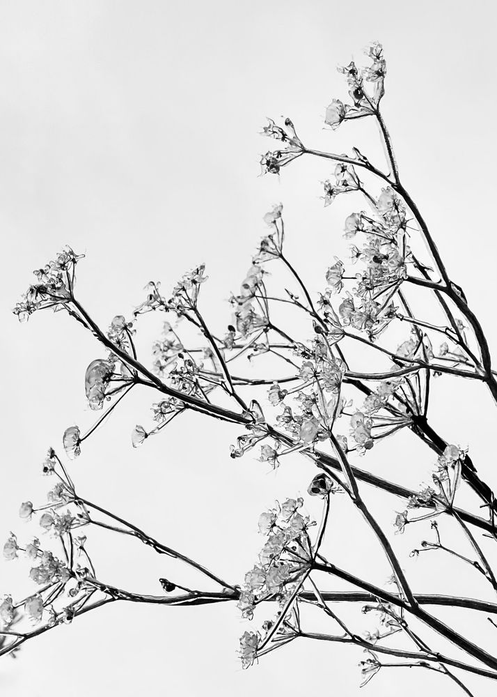 Фотография автора ГУЗАЛИЯ ГАНИЕВА