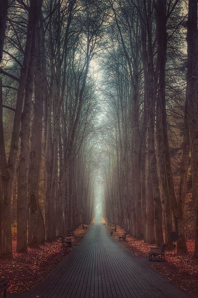 Photograph by Валерия Трейтяк