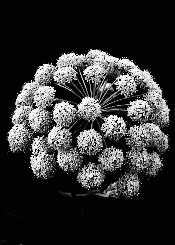 Фотография автора ГУЗАЛИЯ ГАНИЕВА