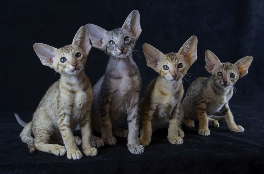 Photograph by Феденкова Татьяна