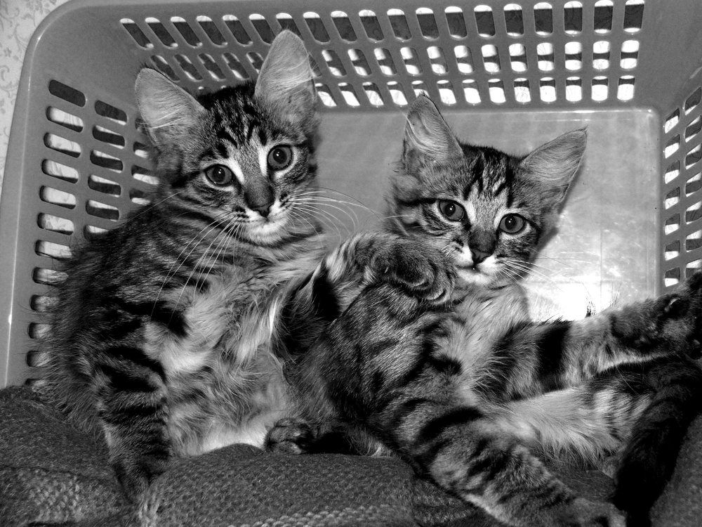 Фотография автора Владислава Андрюнина