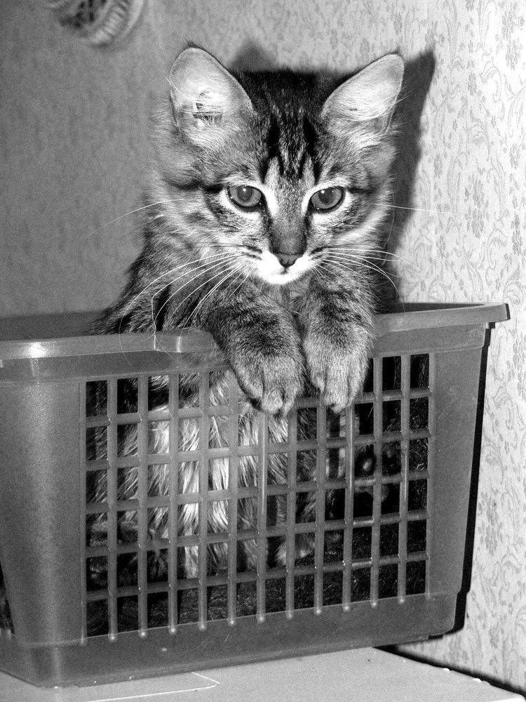 Фотография автора Владислава Андрюнина