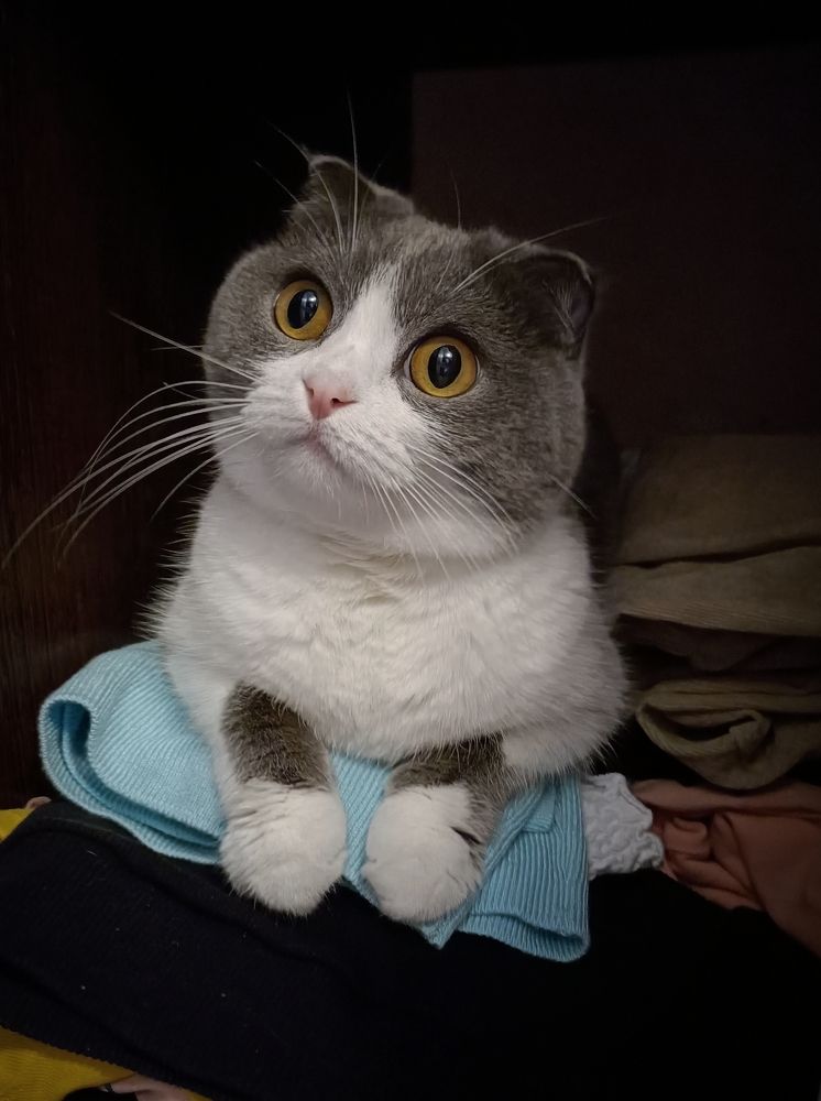 Photograph by Татьяна Братусь