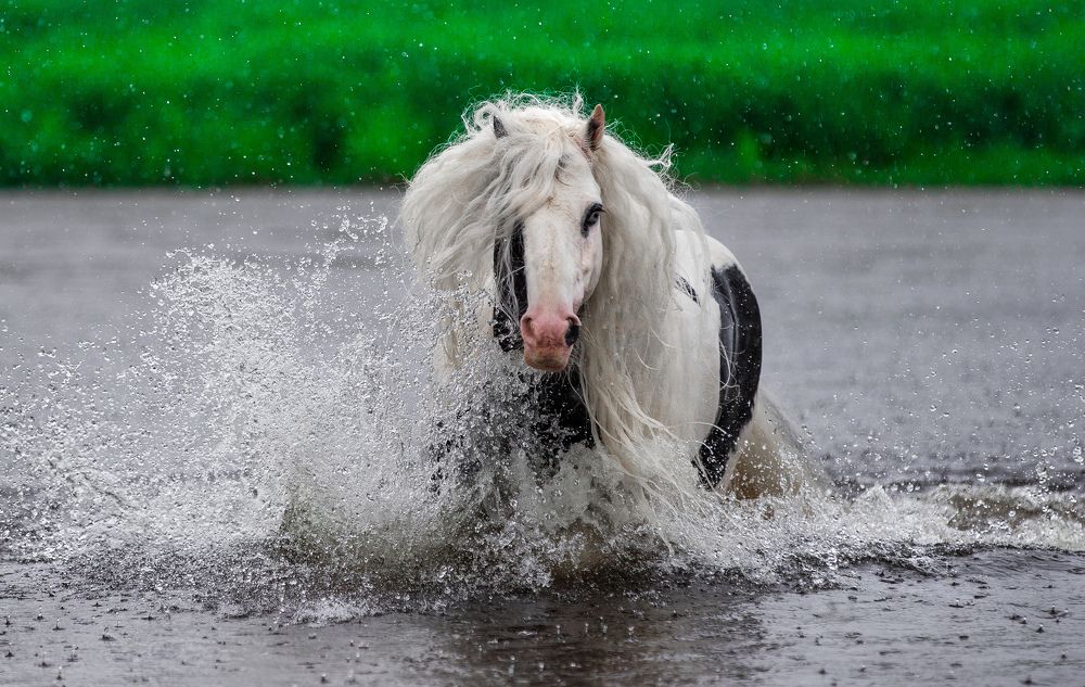 Photograph by Кристина Ксендзова