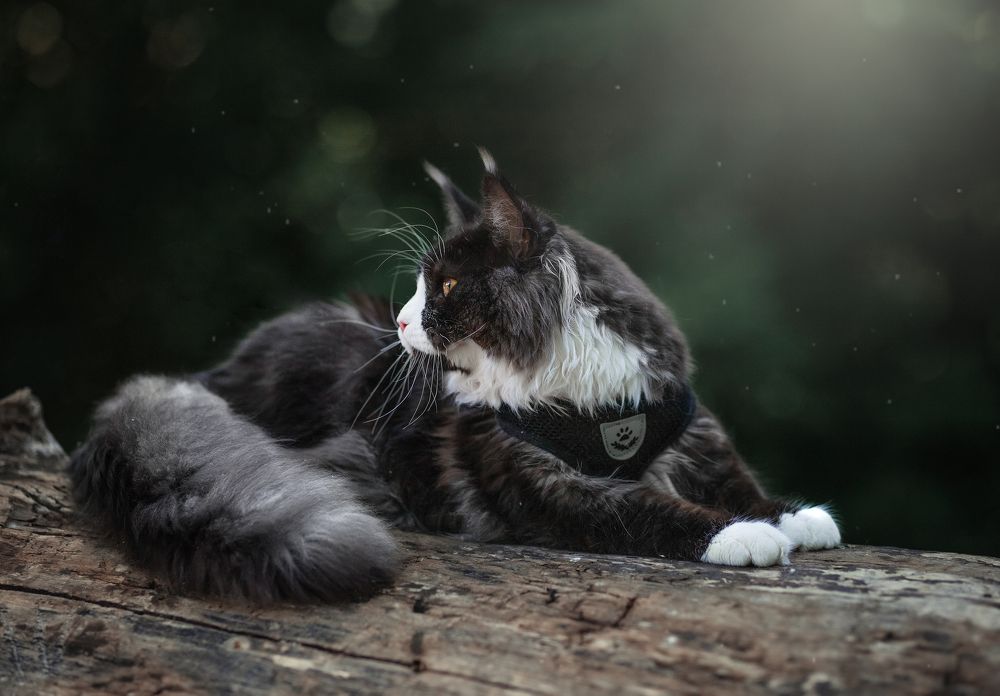 Photograph by Наталия Глазкова