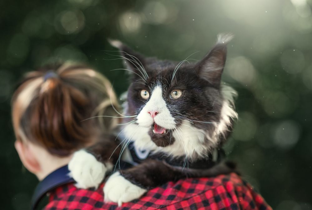 Photograph by Наталия Глазкова