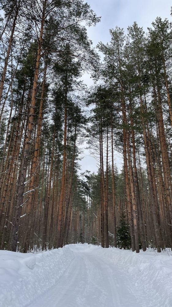 Photograph by Ольга Ильина