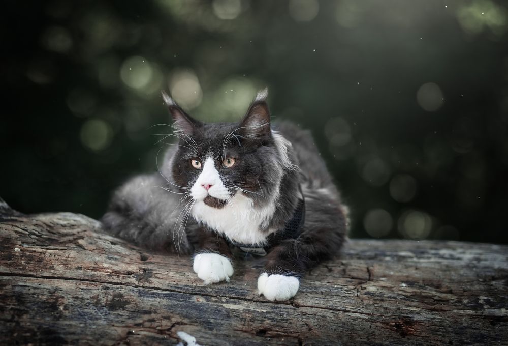 Photograph by Наталия Глазкова