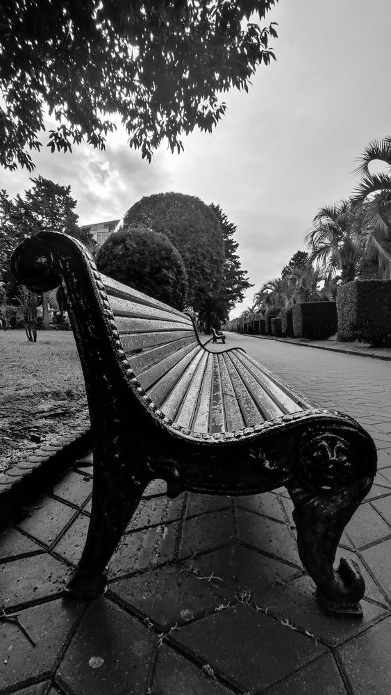 Фотография автора Георгий Черник