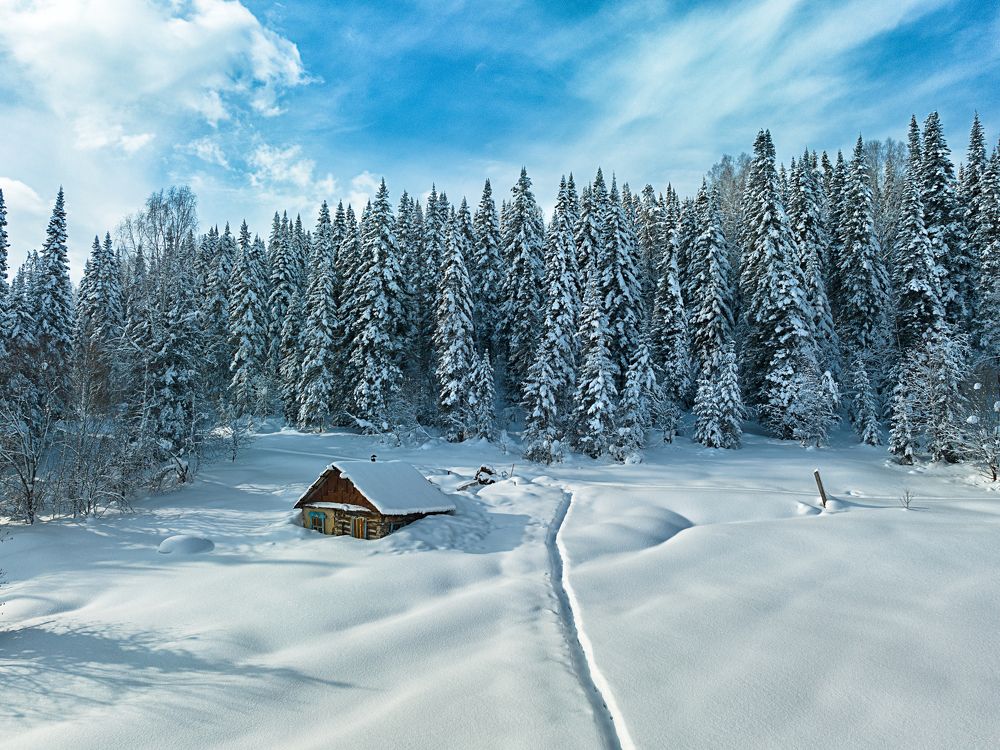 Photograph by Alex Parfenov