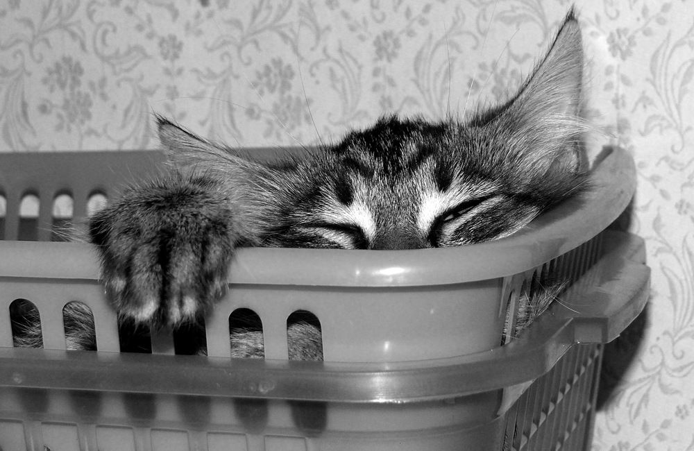 Фотография автора Владислава Андрюнина