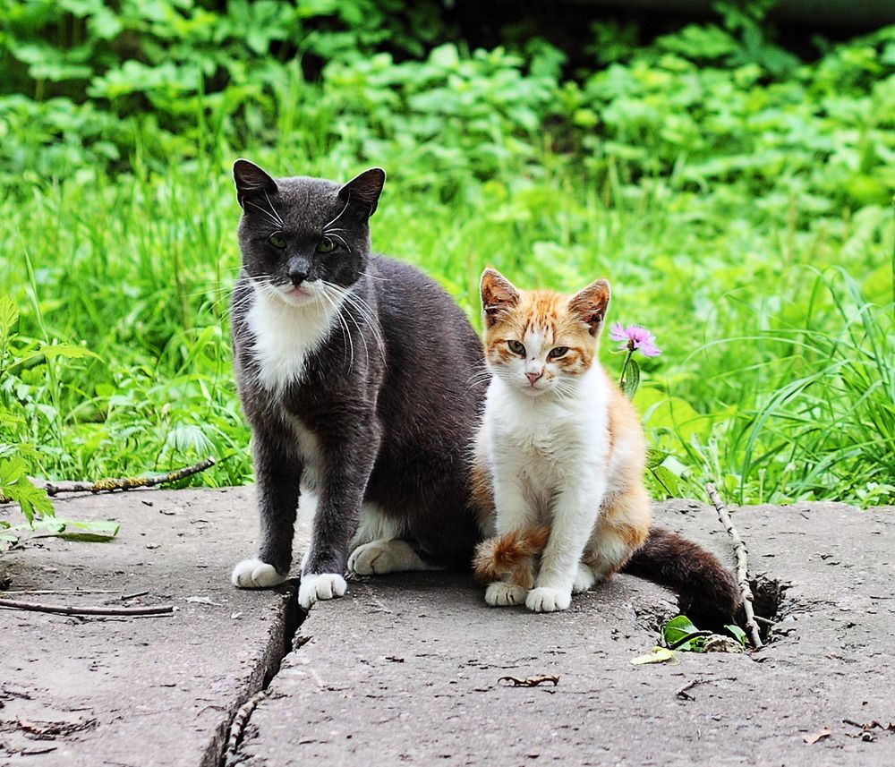 Photograph by Ольга Щербакова