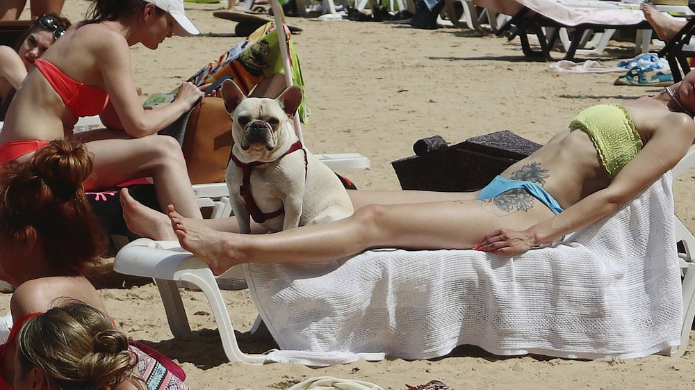 Photograph by Наталья Котько