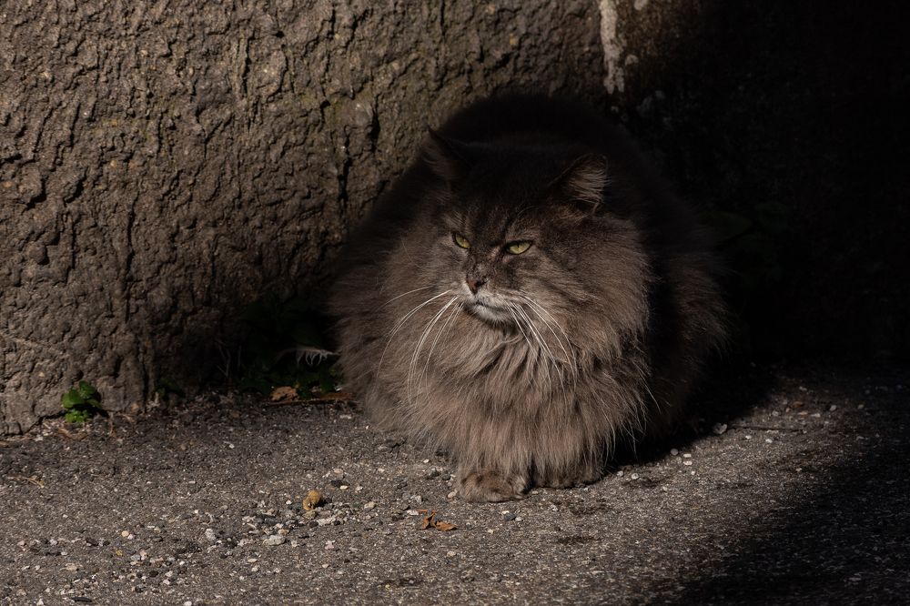 Photograph by Luana Luci