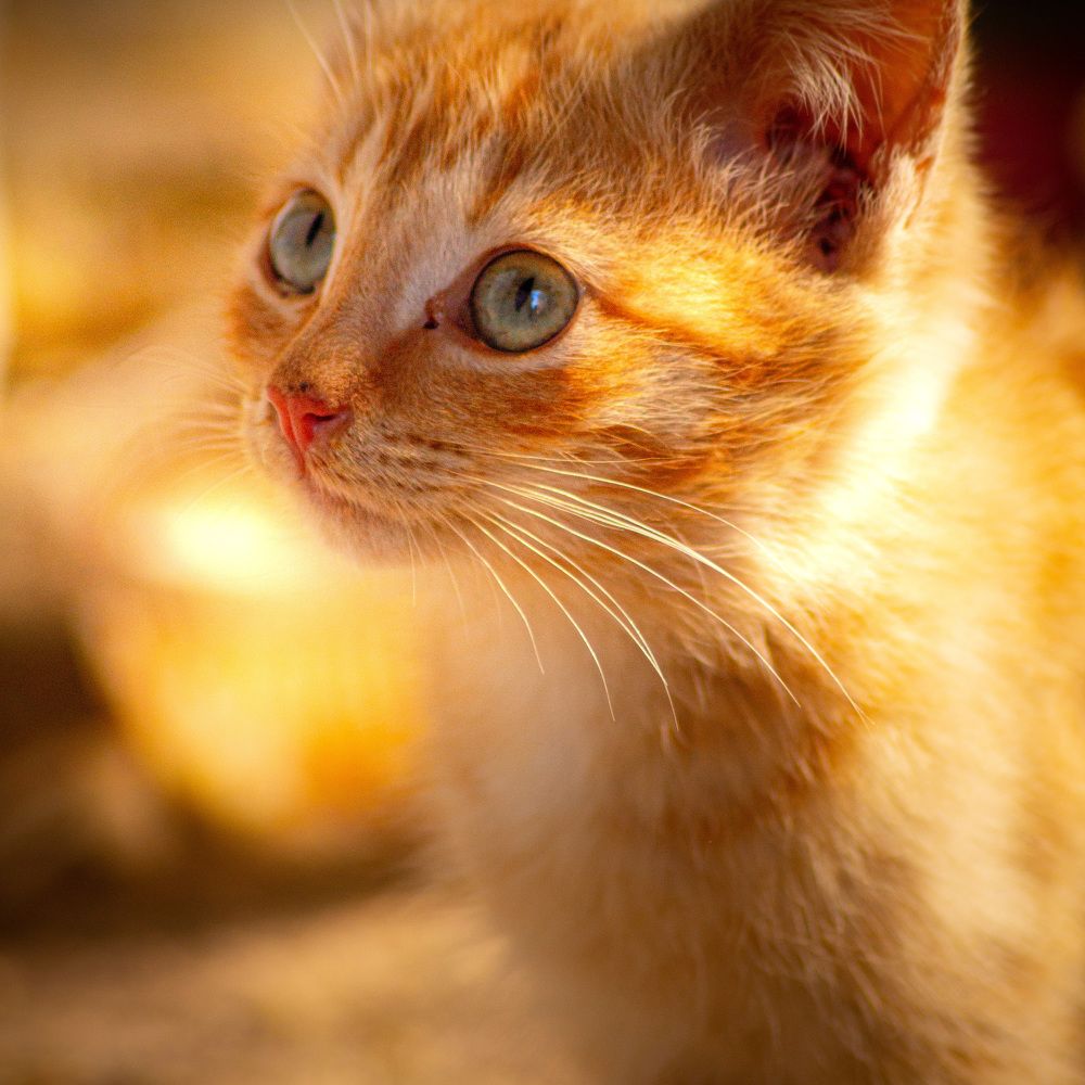 Photograph by Сергей Забиякин