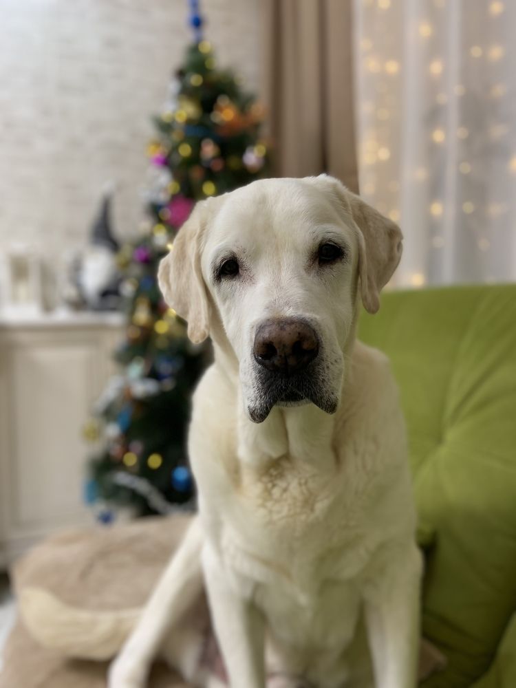 Photograph by Наталья