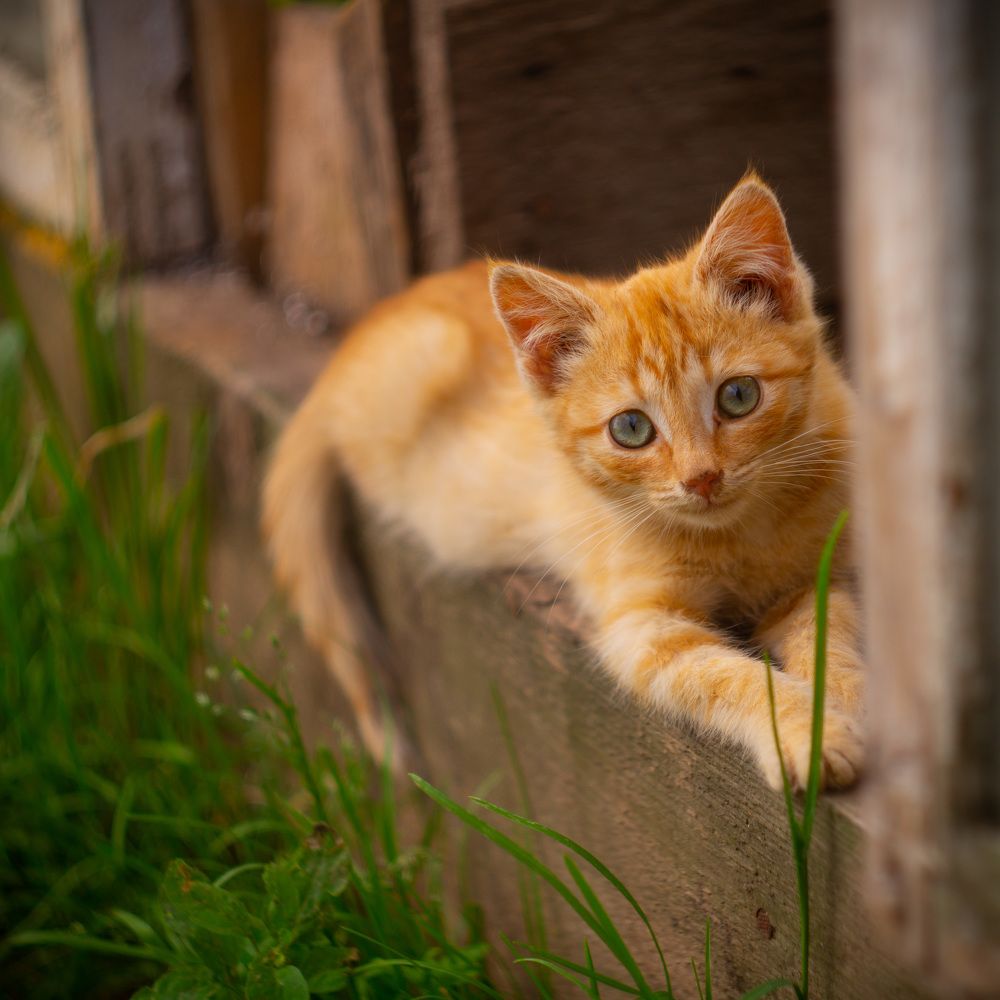 Photograph by Сергей Забиякин