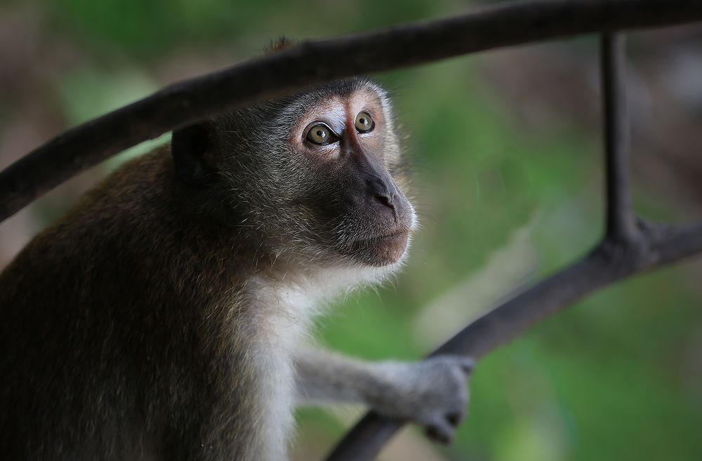 Photograph by Виктор Смирнов