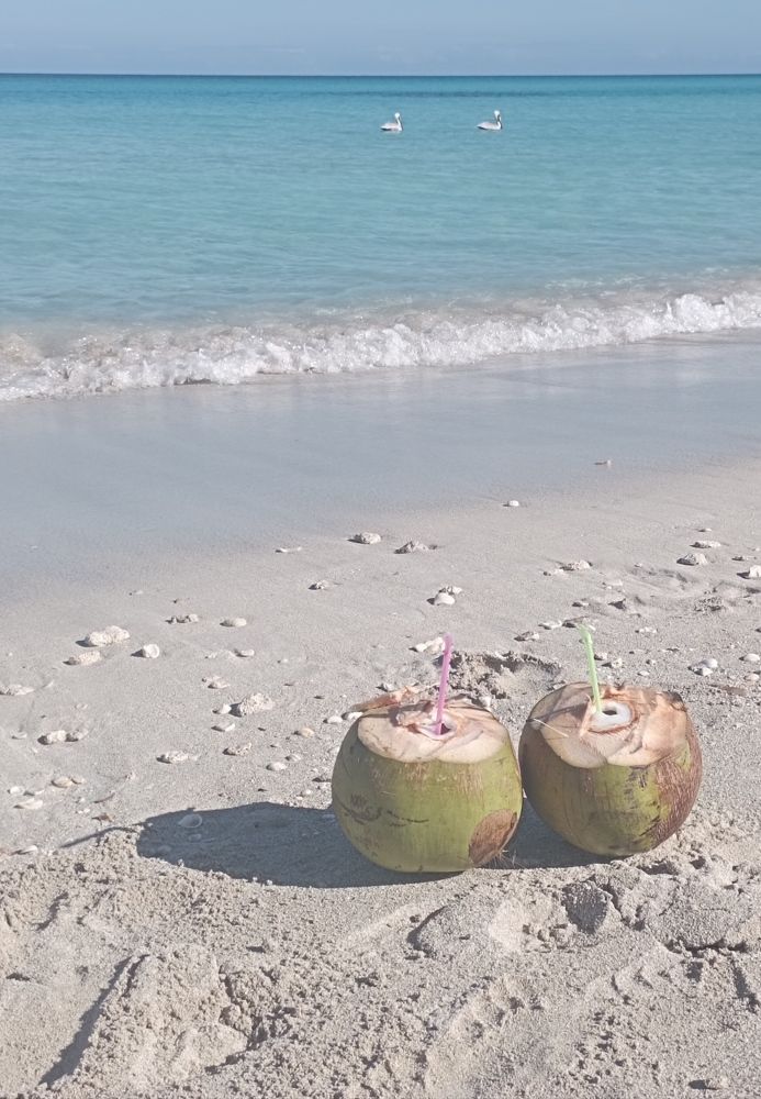 Фотография автора Natalia Khodina