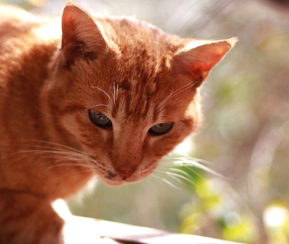 Photograph by Merav Zuberman Perkal