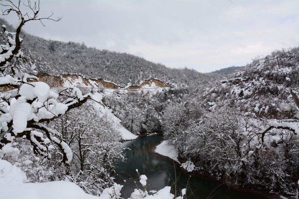 Photograph by Shota Gogoli