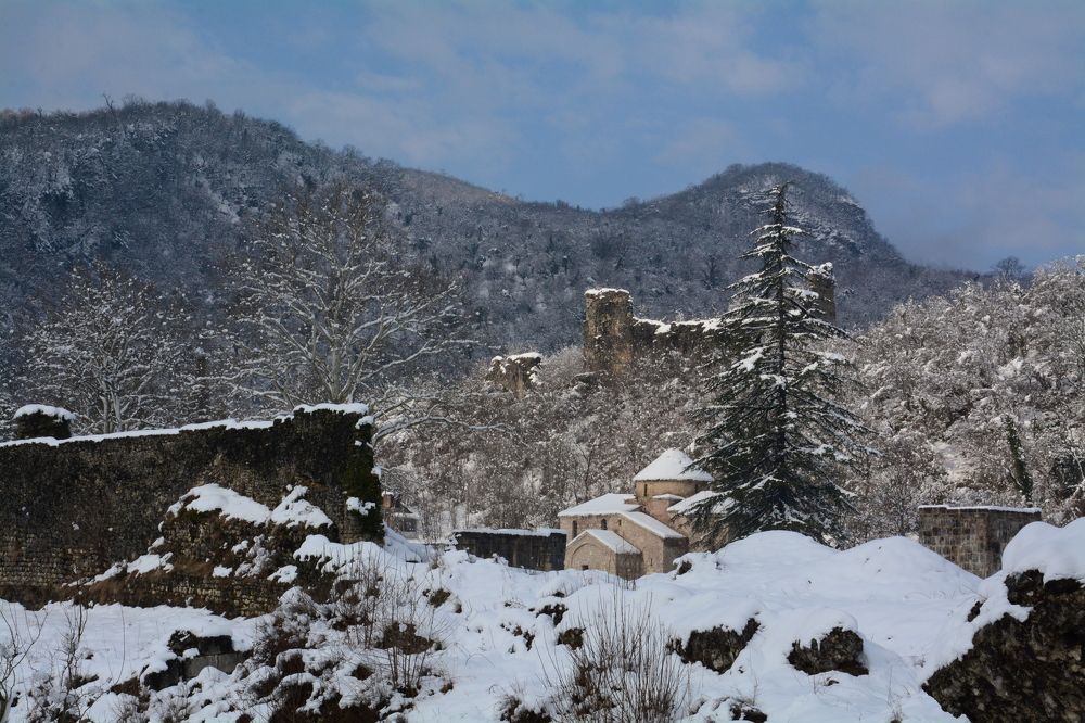 Photograph by Shota Gogoli