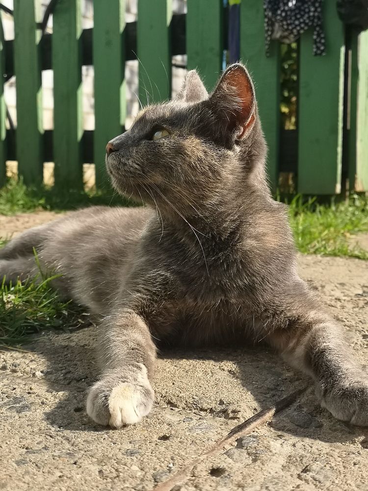 Photograph by Екатерина Борисовна Кузьмина