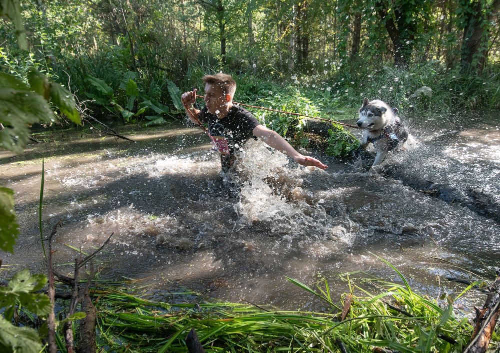 Фотография автора Сергей Сынтин