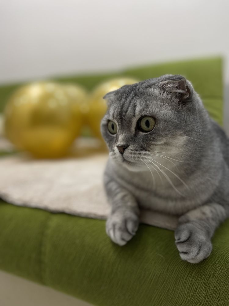 Photograph by Наталья