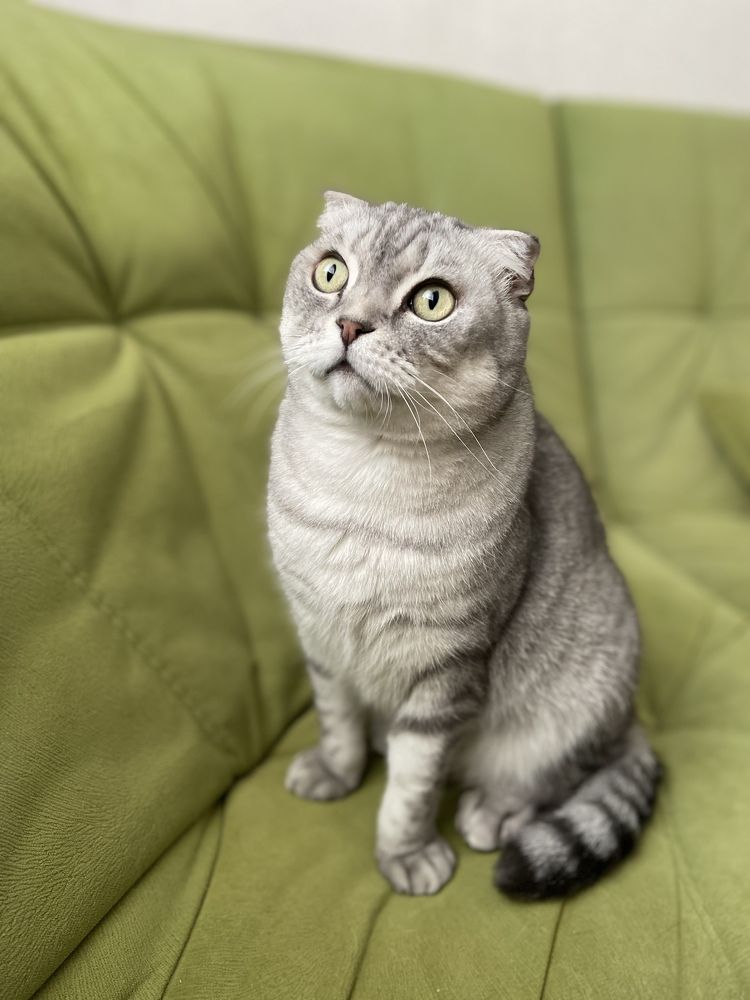 Photograph by Наталья