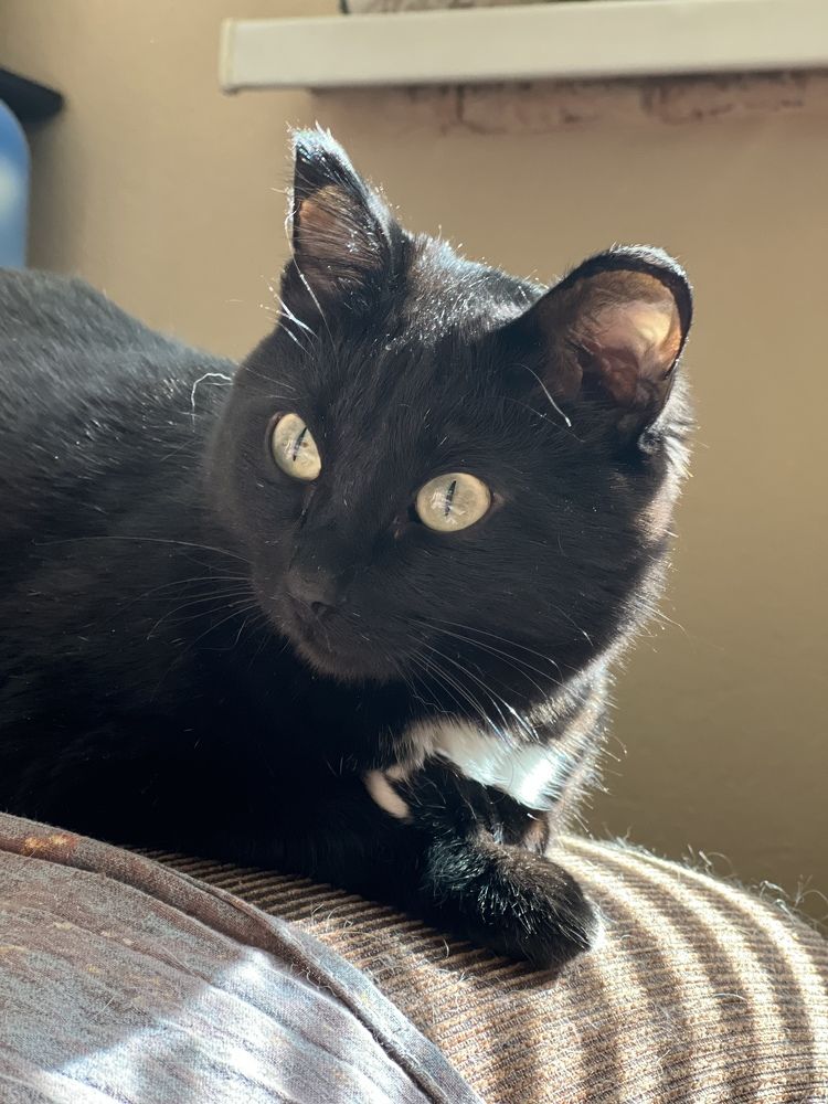 Photograph by Ольга